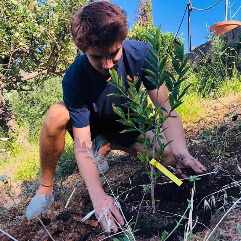 Un Addicted pianta un giovane albero durante un Nature day